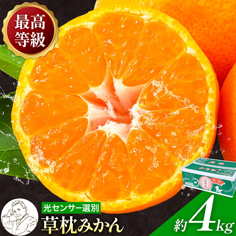 【ふるさと納税】＼リリース限定企画実施中！／ 先行予約 草枕みかん 4kg 旬 みかん 《11月上旬-12月中旬頃出荷予定》 南関町 旬 みかん 南関町 熊本県産 フルーツ 旬 柑橘 ジュース ゼリー 4キロ ギフト 箱