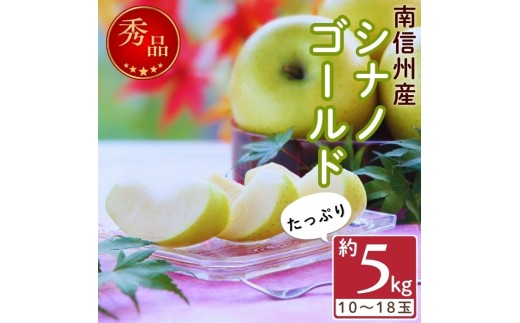 爽やかな風味！【南信州産】シナノゴールド 約5kg 10～18玉 2026年10月下旬より発送 長野県 信州 高森町 産地直送 果物 くだもの 旬のりんご りんご リンゴ りんご3兄弟 JAみなみ信州