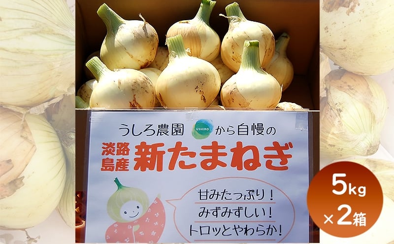 
                  淡路島産 新玉ねぎ 5kg × 2箱 うしろ農園 極早生 玉ねぎ 玉葱 タマネギ 甘い 野菜 兵庫県 洲本市 淡路島 [№5395-0461]
                