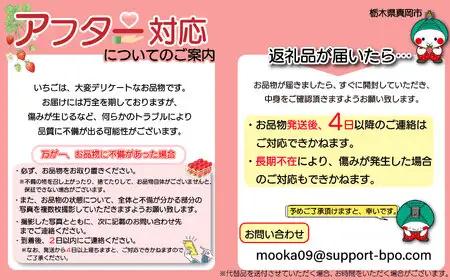いちご　とちあいか　250g×8パック【2027年 先行予約】 朝採れいちご 