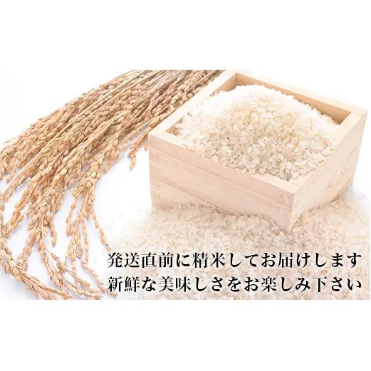 新米 令和8年産 ヨシ腐葉土米 コシヒカリ 精米4kg（2kg×2袋）