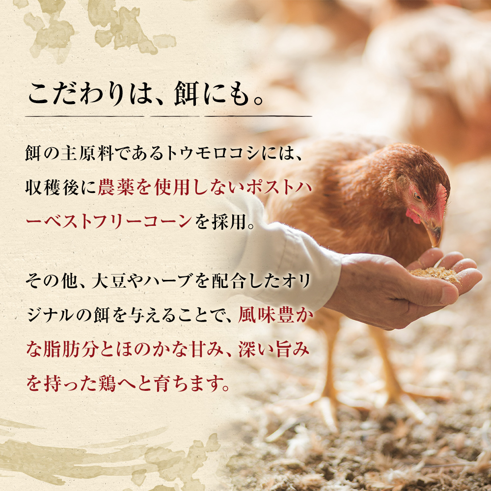 古処鶏水炊きご家庭用セット（小） (3～4人用) 鍋セット 鶏肉水炊き 夕飯 食卓 子供 炙りぶつ切り ムネ モモ つみれ ギフトセット _イメージ5