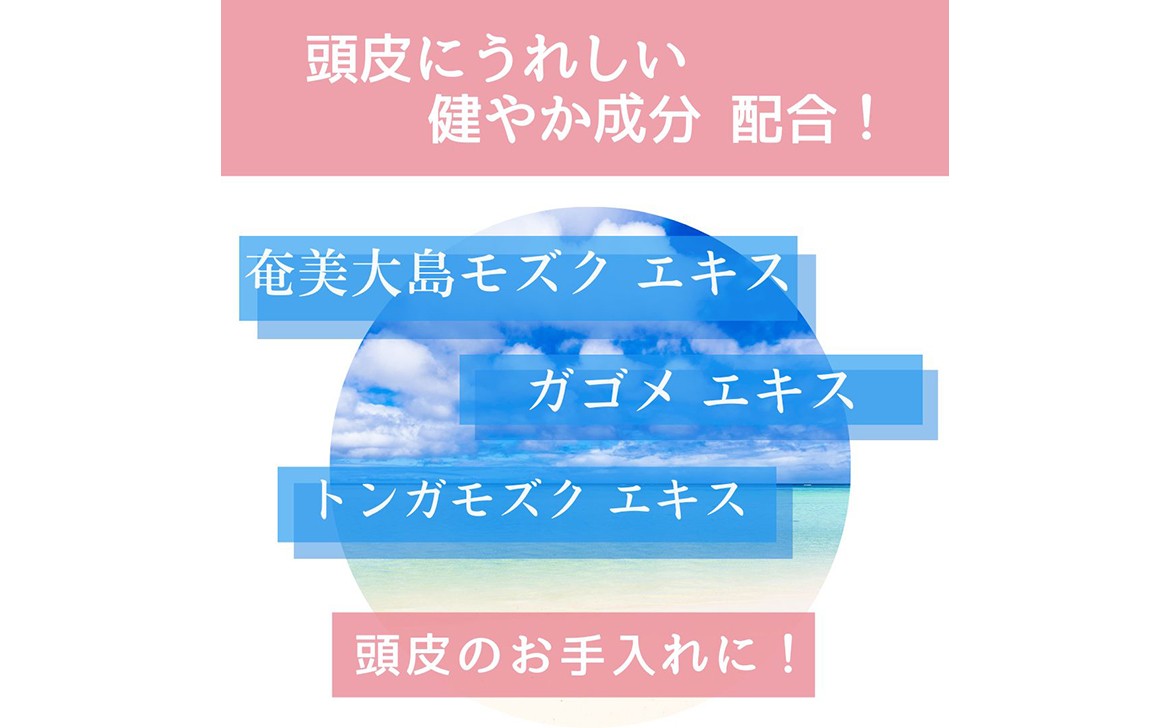 B25-080 粋な艶髪スカルプローション