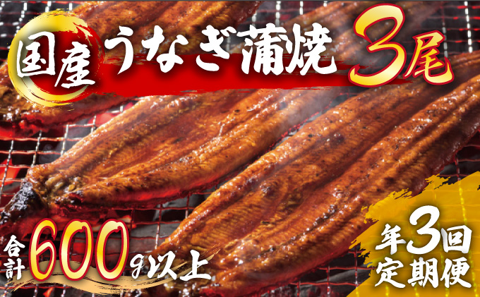 うなぎ蒲焼 3尾セット 合計600g以上 (定期便3回) H-292