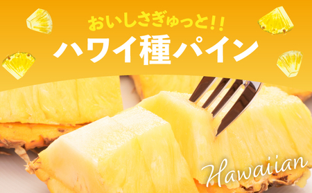 【2026年4月中旬発送】訳あり 石垣島産 ハワイ種パイナップル 約4kg（4～10個）KP-02 | ふるさと納税 パイナップル 産地直送 フルーツ 果物 パイン 石垣 沖縄 沖縄県石垣市 石垣島