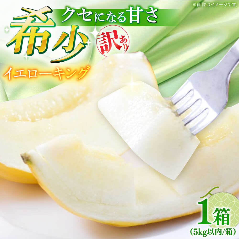 【2027年5月〜発送】訳あり メロン イエローキング 1箱 5kg以内（3〜6玉） / メロン めろん フルーツ 果物 / 南島原市 / 南島原果物屋 [SCV042]