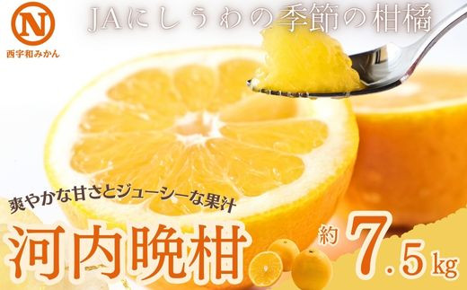 
D08-33.ＪＡにしうわの季節の柑橘（河内晩柑 約7.5kg）
