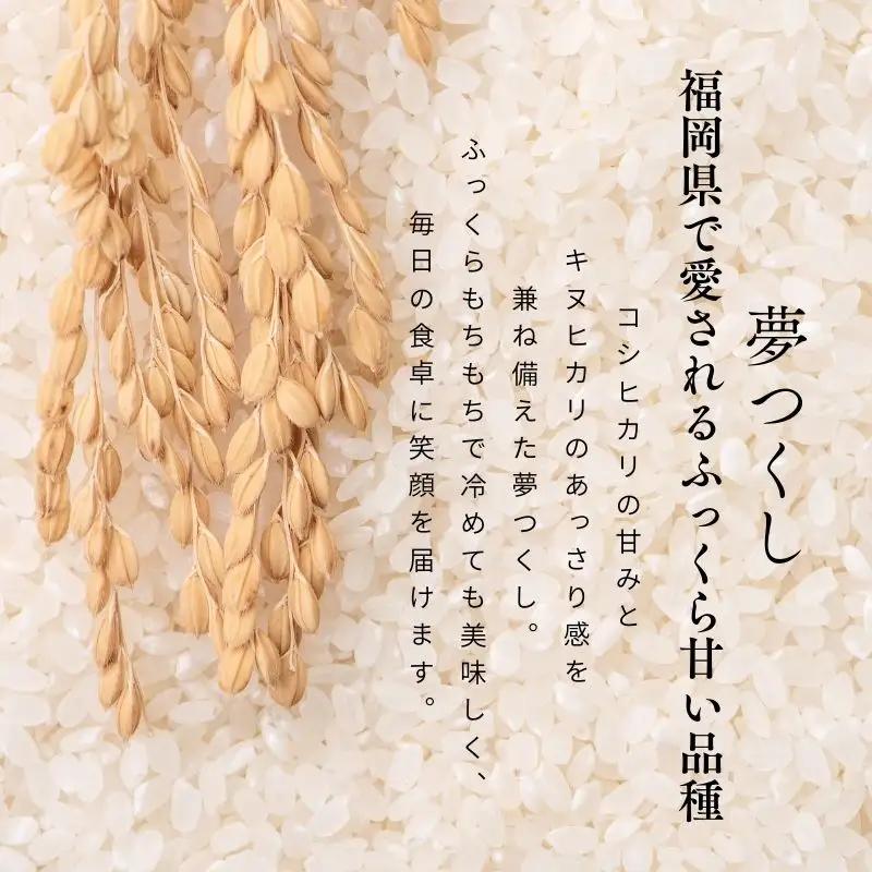 【令和7年産】福岡県飯塚市産 夢つくし 5kg(精米)【4ヵ月定期便】【G6-002】