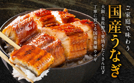 【数量限定】国産うなぎ 2尾 320g以上 大サイズ【えびす鰻 うなぎ ウナギ 国産 泉佐野産 1尾160g以上 蒲焼き かばやき 冷凍 うな重 ひつまぶし 惣菜 先行予約】