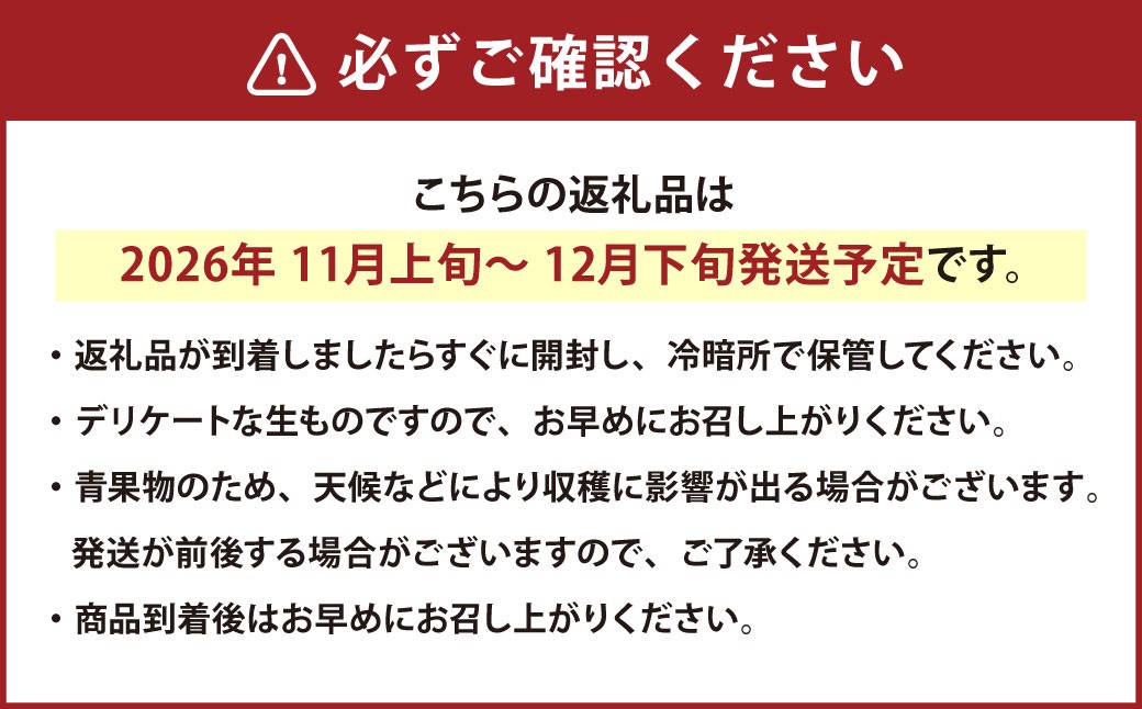 熊本県産　濃蜜みかん 計8㎏（50～90玉／２L～Sサイズ）