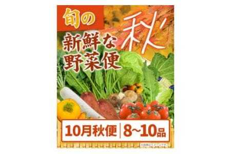 ＜ 先行予約 ＞ 旬の新鮮な 野菜便 10月秋便 8～10品 野菜