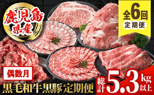 
                  i1007 ＜定期便・計6回(偶数月)＞鹿児島県産黒毛和牛黒豚定期便(総計約5.3kg以上) 国産 九州産 鹿児島産 黒毛和牛 牛肉 国産牛 黒豚 豚肉 サーロイン ステーキ 切り落とし 切落し しゃぶしゃぶ すき焼き 定期便 6回 2月 4月 6月 8月 10月 12月 冷凍配送 【スターゼン】
                