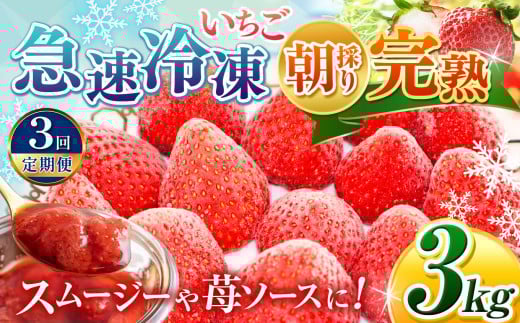 【 定期便 3回 】★ 2025年 4月頃～順次発送 ★ ＼ 選べる 容量 ！／ 完熟・急速冷凍いちご 3kg | 苺 いちご イチゴ 果物 フルーツ ふるーつ 冷凍 いちご れいとう イチゴ 果実 果汁 冷凍 冷凍食品 冷凍いちご 朝採り 完熟 新鮮 スムージー オススメ 千葉県 君津市 きみつ