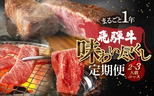 【定期便 12回】飛騨牛まるごと1年味わい尽くし定期便（2～3人前）菊の井 牛肉 牛 飛騨 ブランド牛 国産 ともさんかく もも モモ 赤身 霜降り 高級 ステーキ【冷凍】