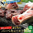 【ふるさと納税】【全3回定期便】まぐろ おまかせバーベキューセット 冷凍約3kg 鮪 マグロ BBQ 魚 横須賀【本まぐろ直売所】[AKAK032]