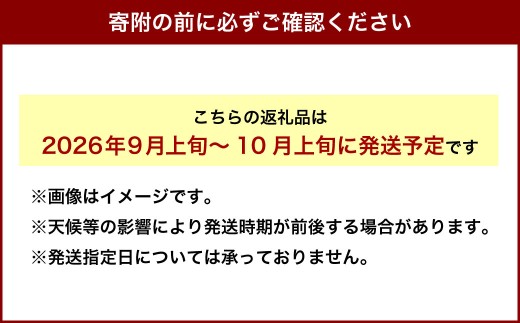 《令和8年産 先行受付》 北海道深川市産 ゆり根（Lサイズ） 約2kg ゆりね 【2026年9月上旬～10月上旬発送予定】_イメージ4