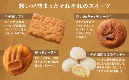 パティスリーベルン特製　甲子園スペシャルセット