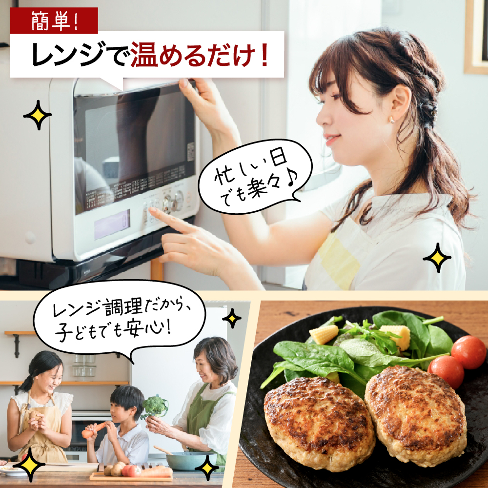 赤村養生館 特製手ごねハンバーグ 4個 B23
