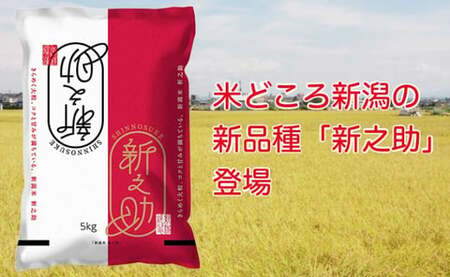 A4-01新潟県長岡産コシヒカリ・新之助　各5kg食べ比べセット