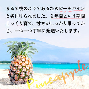 【先行予約】石垣島産 中玉ピーチパイン 3玉 合計約2.4kg《2026年5月以降発送》【 沖縄県石垣市 石垣島 フルーツ 果物 パイン 産地直送 】SI-117