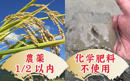【先行予約】【令和8年産　新米】減農薬・化学肥料不使用 ゆうだい21 5kg×1袋（計5kg）【2026年10月中旬より順次発送】 | お米 白米 ごはん ご飯 米 コメ 新米 おこめ こめ ギフト 