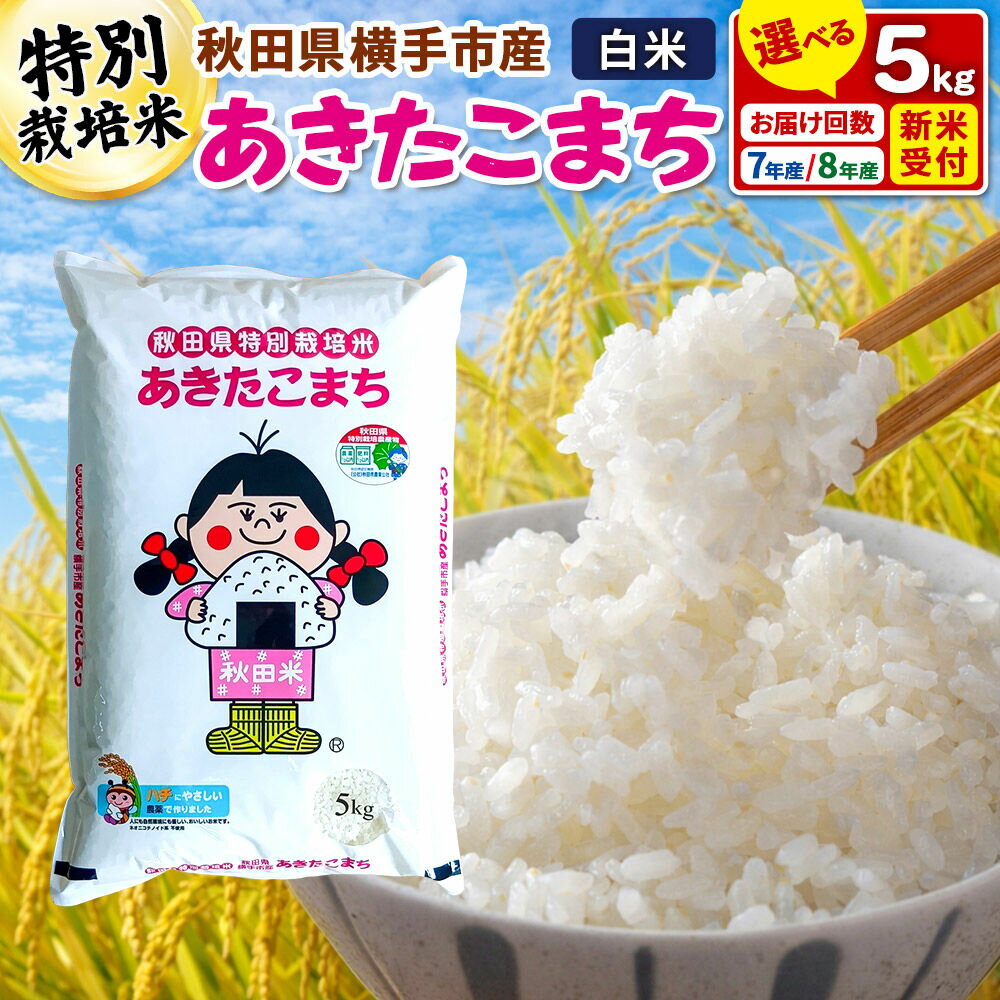 【ふるさと納税】米 あきたこまち 精米 白米【選べる R7年産／R8年産 新米受付×お届け回数】特別栽培米 あきたこまち 5kg 定期便 秋田県 横手市 [新米 先行予約 選べる 令和8年 令和7年 米 お米 こめ 秋田県産 あきたこまち 秋田こまち]