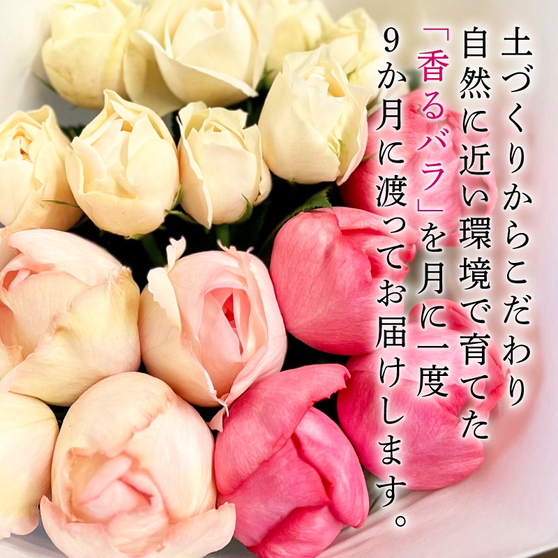 【9ヶ月定期便】 バラ 花束 ブーケ 朝摘み 薔薇 花 ばら パフューム ローズ 生花 ギフト プレゼント 祝い 定期便 母の日 卒業式 贈り物 贈答 記念日 香り 静岡県 藤枝市