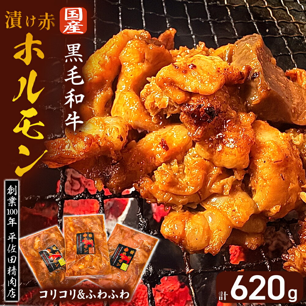 【ふるさと納税】【数量限定】漬け赤ホルモン620g コリコリミックス（210g×2P）ふわふわ牛腸（200g×1P） 焼肉 BBQ 人気 ホルモン ホルモン焼き 味付きホルモン 味付けホルモン 焼肉用ホルモン