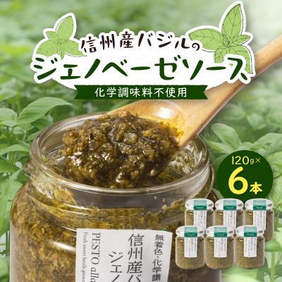 ふるさと納税 中野市 朝採れ信州産バジルのジェノベーゼソース 120g×6本