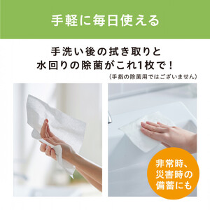 ペーパータオル【120組×3箱】濡れると９９％除菌ペーパータオル１２０枚　厚手　JPT-120