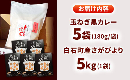 白石町産 特別栽培 さがびより（白米）5kg＆玉葱黒カレー（レトルト）5袋 / お米 [IAT003]