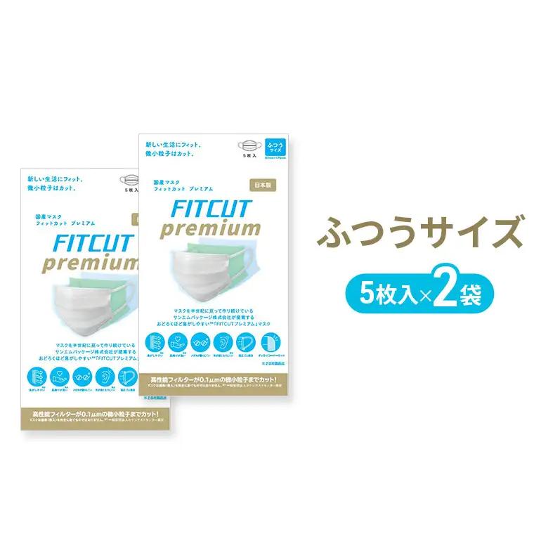 マスク FITCUT プレミアム 国産不織布 ふつうサイズ マスク【5枚×2袋】