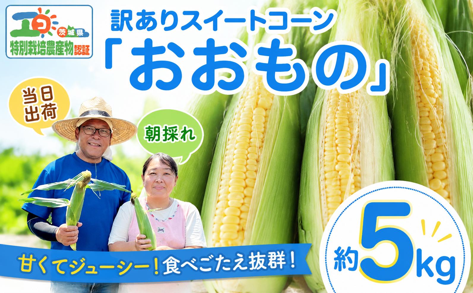 
                  【先行予約】 訳あり とうもろこし 約5kg  スイートコーン （おおもの） 朝もぎ  わけあり 【7月上旬以降発送】《筑西市》 とうもろこし トウモロコシ トウキビ とうきび コーン toumorokoshi 茨城県産 新鮮 甘い 糖度 朝どれ 朝採れ 甘い おおもの 野菜 採れたて野菜 レンチン 冷蔵 夏野菜 極甘 旬 産地直送 関東 茨城 筑西市
                