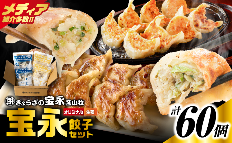 手包み餃子 ぎょうざの宝永 生姜餃子60個セット（宝永餃子15個入×2袋・生姜餃子15個入×2袋）　T004-005-02