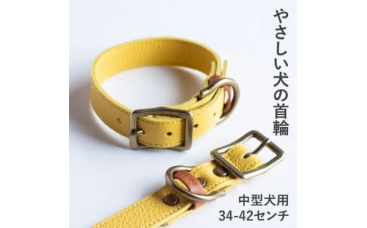 首輪 本革 イタリアンレザー イエロー 中型犬用 (34-42センチ)ペット用品＜dc-01ss＞【1663233】