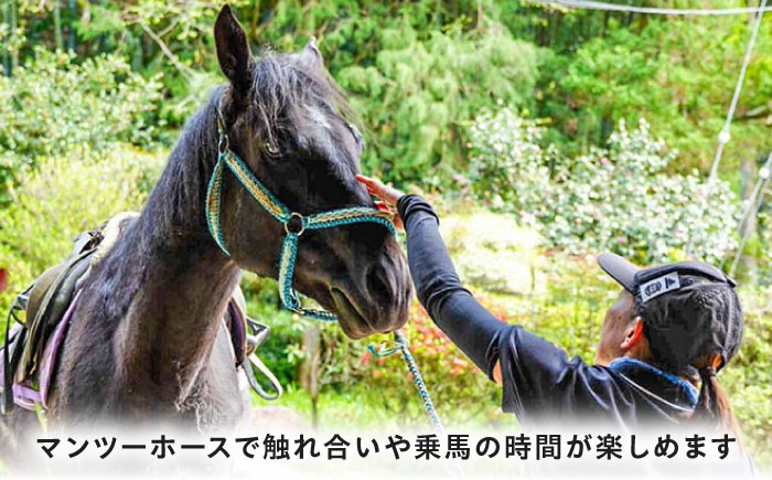 乗馬体験券（ふれあい、30分程度の乗馬）1名分