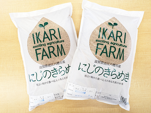 【6年産】にじのきらめき玄米10kg（5kg×2袋）大粒で食べ応えあり【C064U】