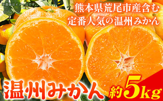 みかん 温州みかん 約 5kg 柑橘 フルーツ ミカン 蜜柑 《11月上旬-12月上旬頃出荷》熊本県 荒尾市産含む 熊本県 荒尾市 フレッシュフーズ