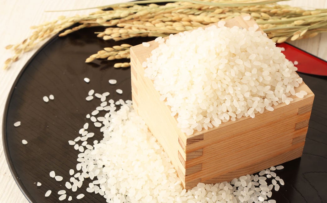 オリジナル ブランド米! はさき産 コシヒカリ 鈴穂（ 精米 ）10kg