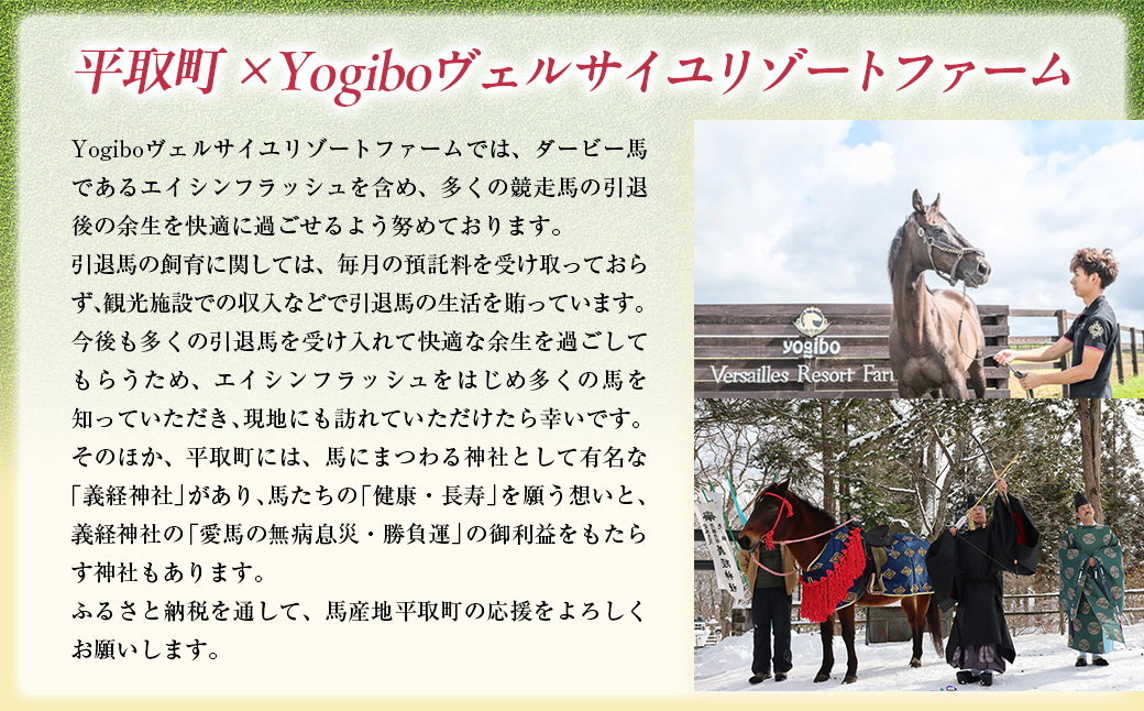 【エイシンフラッシュ】(グレー）プルオーバーパーカー裏起毛_Mサイズ BRTV027-2