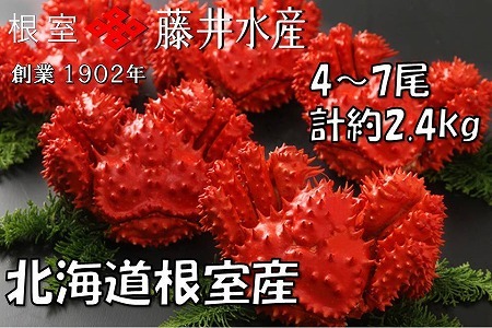 【北海道根室産】ボイル花咲かに4～7尾(計約2.4kg) C-42080