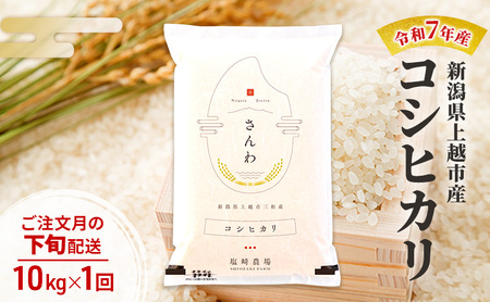 令和7年産 新潟県 上越市産 コシヒカリ10kg 白米 ※ご注文月の下旬配送