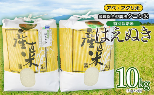 【令和7年産】【新米】特別栽培米 はえぬき（タニシ米）精米10kg（5kg×2袋）　山形県鶴岡産　アベ・アグリ米