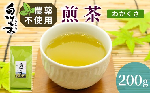 
                  農薬不使用！煎茶 わかくさ 200g 常磐園 日本茶 白川茶 美濃白川茶 緑茶 煎茶 茶葉 お茶 二番茶 春摘み お試し 岐阜県 東白川村 家庭用 事務所用
                