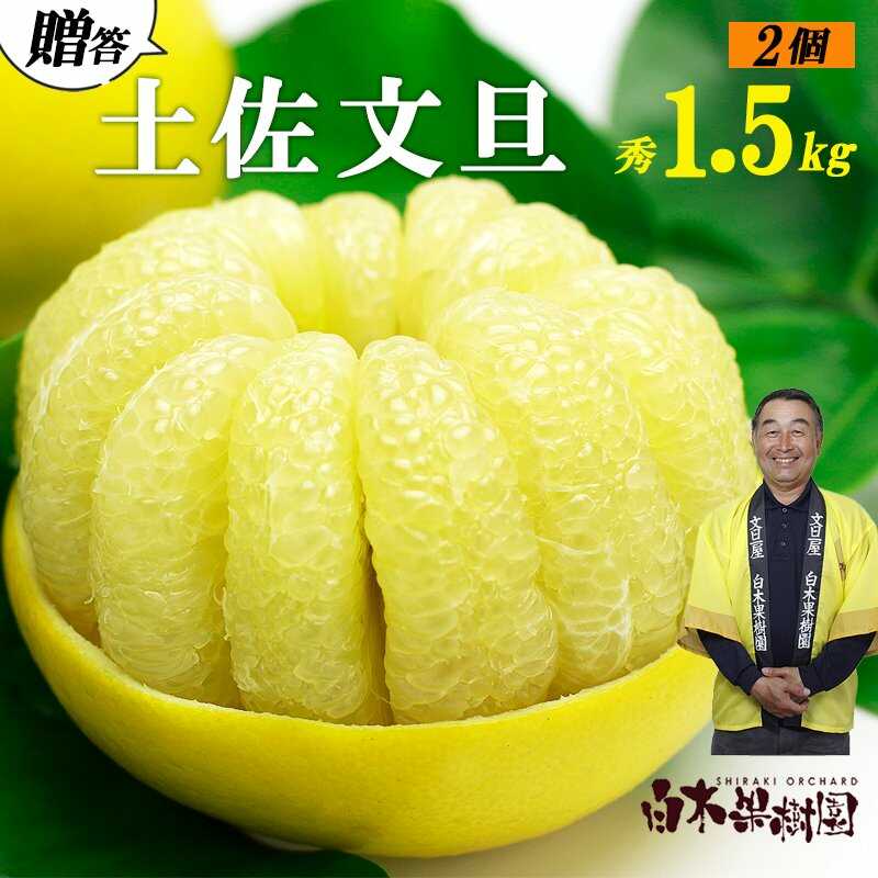 【ふるさと納税】【先行予約】【果樹園直送】土佐文旦 4L 2個入り 1.5kg 大玉〈2027年2月中旬〜3月中旬頃発送〉 特選品贈答用 果物 柑橘 フルーツ ぶんたん ブンタン 文旦 高知県土佐市 お取り寄せ 産地直送 おいしい 高知県土佐市 【白木果樹園】[BQAI003]