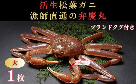 
            松葉ガニ活生「大1枚」ブランドタグ付き※着日指定不可※【弁慶丸】
          