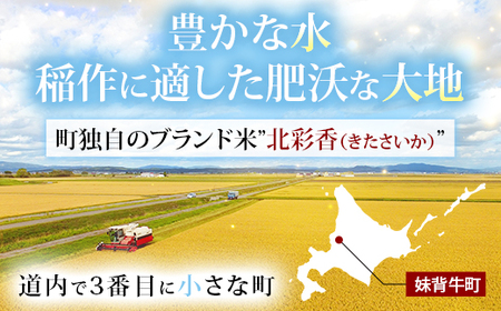 2026年2月発送 令和7年産 ななつぼし 白米 10kg (真空パック) 【プレミアム北彩香】| 妹背牛産 北海道 米 道産 特A