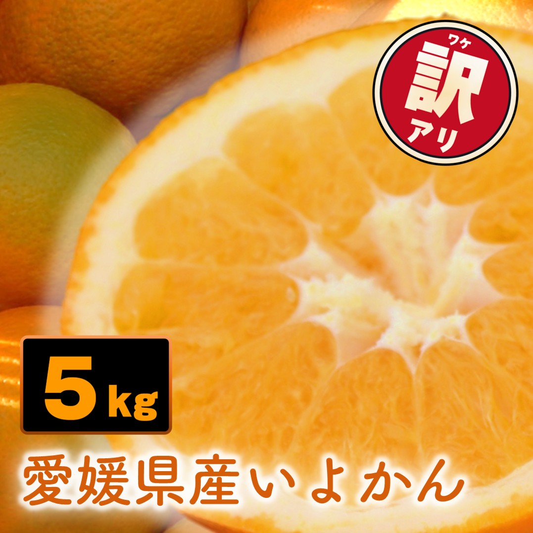 【ふるさと納税】 【先行予約】訳あり 愛媛県産 宮内いよかん 5kg | 【1月上旬～2月下旬発送】 宮内伊予柑 いよかん 蜜柑 伊予柑 わけあり 家庭用 柑橘 みかん ミカン フルーツ 果物 甘い 酸味 果汁 果肉 期間限定 旬 お取り寄せ グルメ みかん 農家直送 国産 愛媛県 松山市