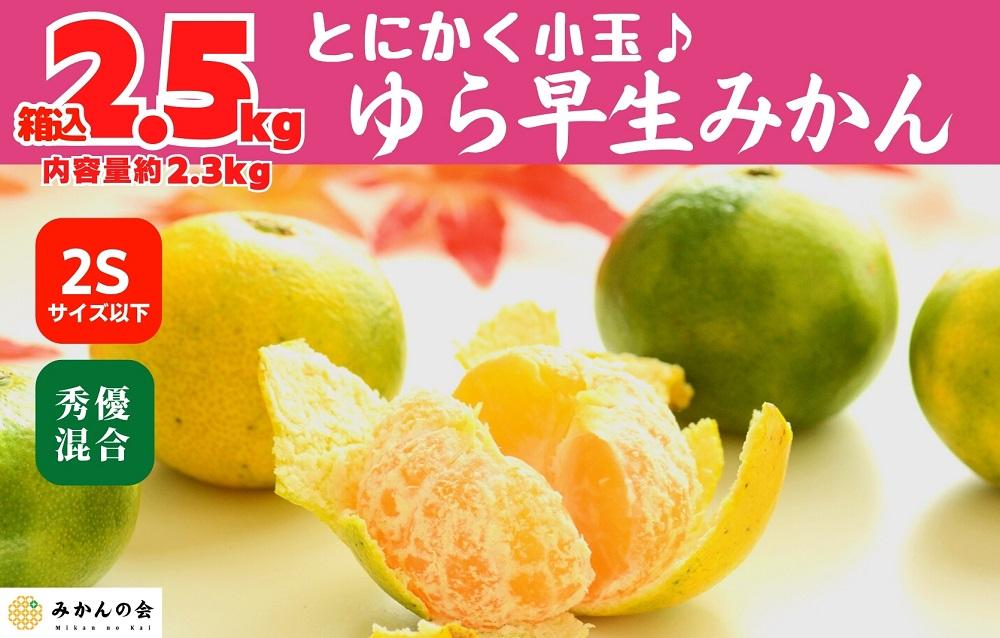 ゆら早生 みかん 小玉ちゃん 箱込2.5kg(内容量 2.3kg) 2Sサイズ以下 秀優混合 有田みかん 和歌山県産 【みかんの会】