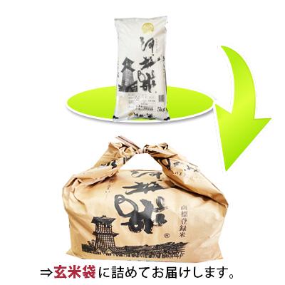 ふるさと納税 川越市 河越米5kg |  | 01